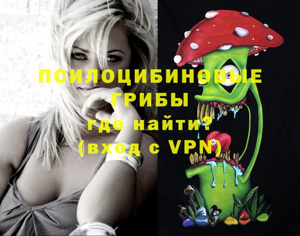 крисы Переславль-Залесский
