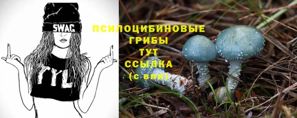 ECSTASY Абдулино