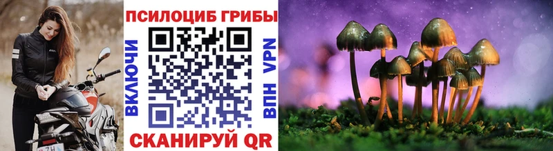 darknet состав  Избербаш  Псилоцибиновые грибы MAGIC MUSHROOMS 