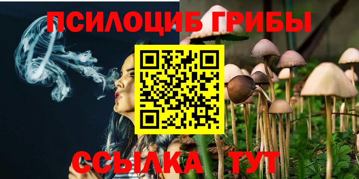 Псилоцибиновые грибы Magic Shrooms  Псилоцибиновые грибы Cubensis  Избербаш  Вход с VPN 