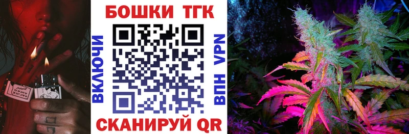 kraken   Избербаш  Бошки Шишки сатива 